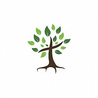 Cross, Tree, Faith, Growth